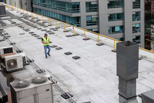 Best Skylight Installation and Repair  in Cleveland, TX